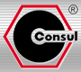 Partener EON GRUP — CONSUL (Elevatoare Vehicule)
